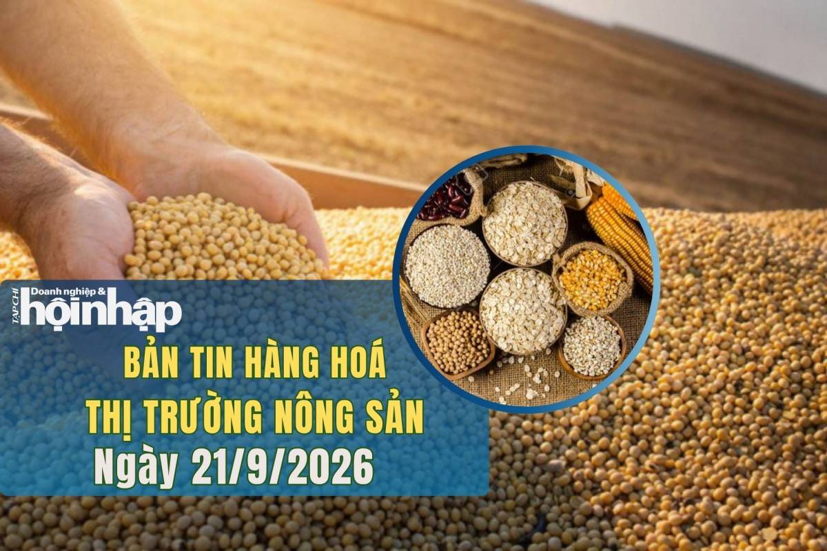 Thị trường nhóm nông sản 21/9/2026: Giá lúa mì giảm, ngô và đậu tương duy trì đà tăng